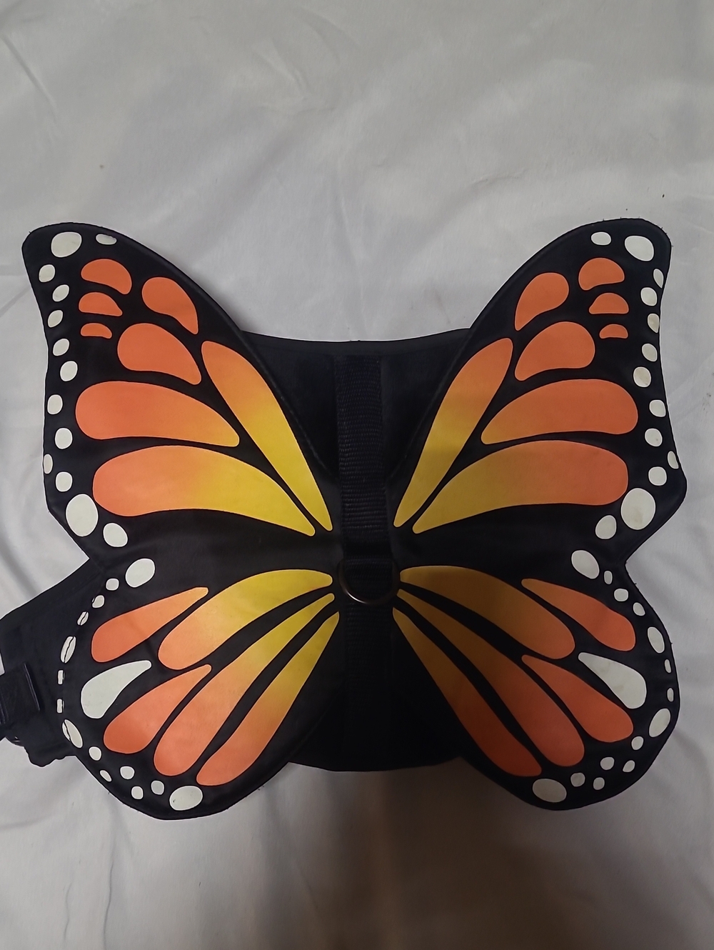 Doggie Butterfly Costume, Glows In The Dark, Size M